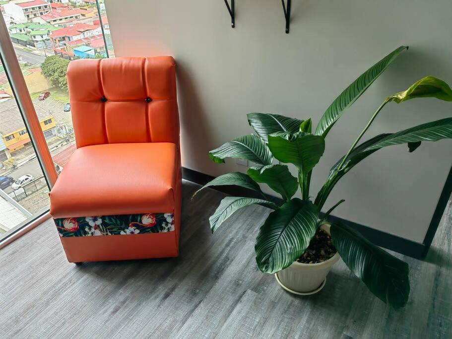 1515 Secrt Sabana Hermoso Equipado Con Aire Acondicionado San José